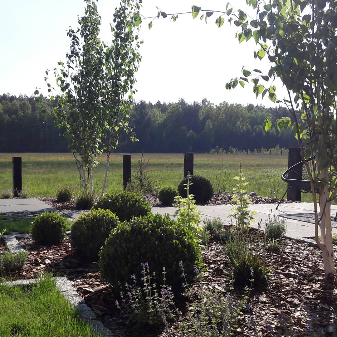 projektowanie ogrodów chorzów