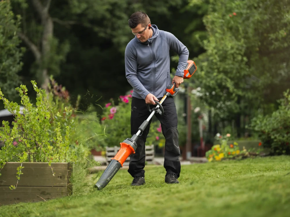 pielęgnacja zieleni